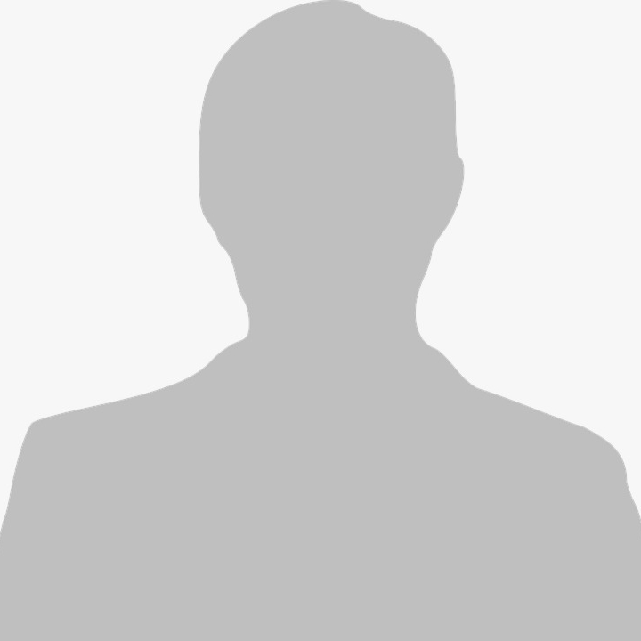Flavie Staib Logo